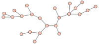 Example of tree